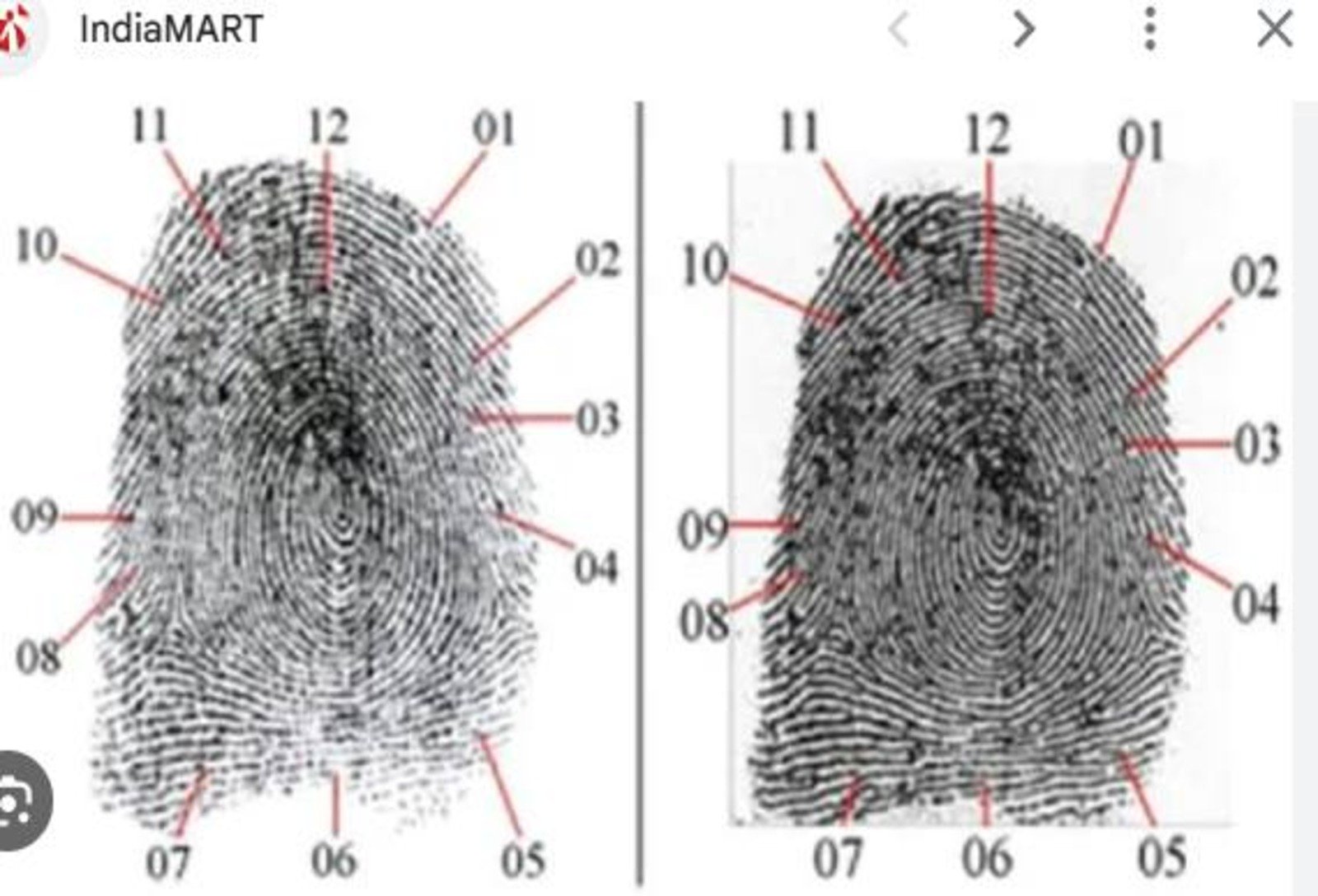 Finger Print Examination 